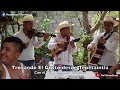 Trovando el Gusto con Temple Huasteco, Palomitas Serranas, Caimanes del Río Tuxpan y Flor de Madera