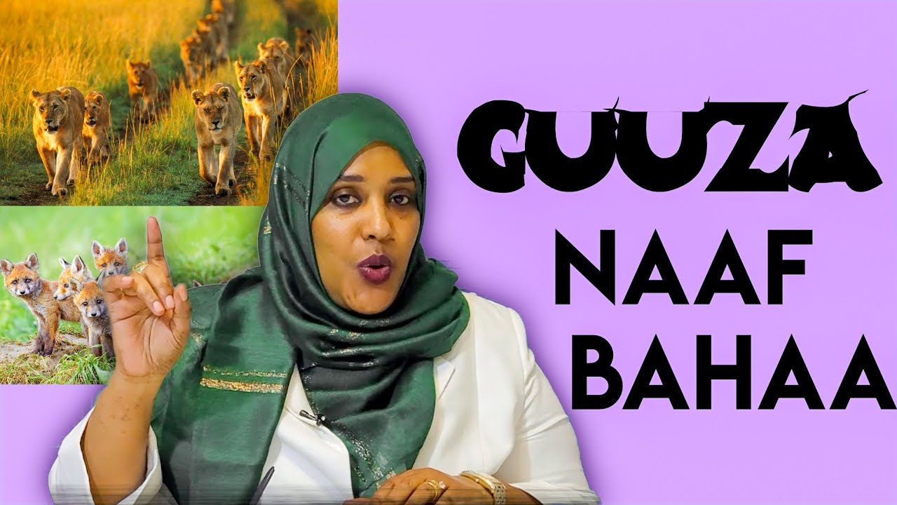 Gamtaan Hojjechuun Akkamitti Milkaa'ina fiduu dandeenya ?