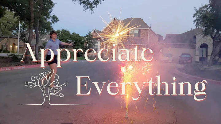 Ali Darwiche - Appreciate Everything (Official Vid...