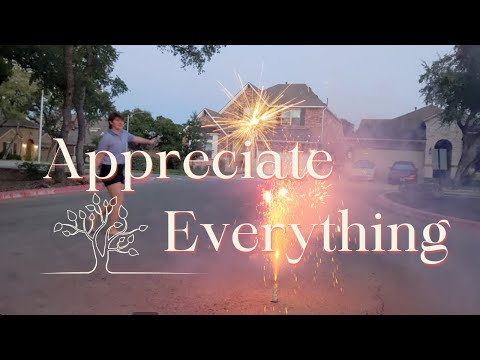 Ali Darwiche Appreciate Everything Official Video 