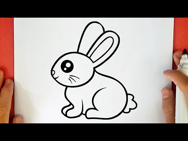 TUTORIAL DE DESENHO🐰 Coelhos em várias poses #artista