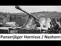 Soldat erklärt den Panzerjäger Hornisse / Nashorn Mythos 1943 - 1944