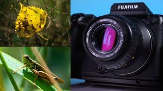 Adapting a Russian M42 Lens to a Fujifilm GFX Camera