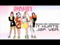 2NE1 IT HURTS JAPANESE PREVIEW 2NE1 IT HURTS JAPANESE PREVIEW