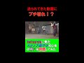 【ブチ切れ】腹が立つ格闘技初心者！#Shorts