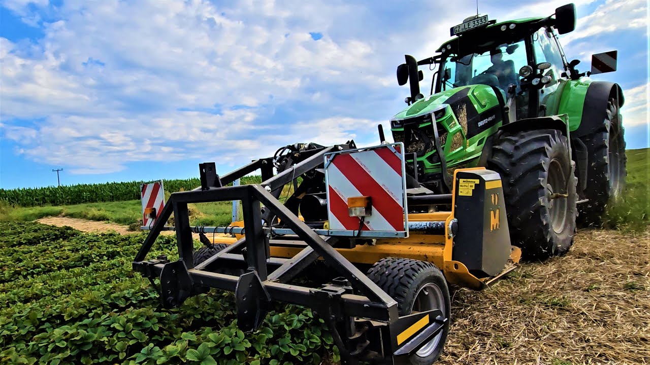 Deutz-Fahr 6215 TTV mit Müthing Spezialmulcher zur Erdbeer Regulierung!