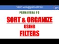 Using Filters in Primavera P6