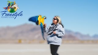 Can Older Birds Learn to Freefly? | Katie and Mia