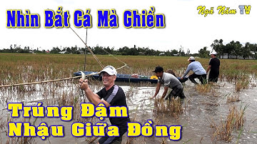 Cách Bắt Cá Lạ Đời Dính Cá Lóc Cá Rô Thấy Mê, Cá Nướng Sinh Tồn Giữa Đồng Dân Dã Miền Tây/NGÃ NĂM TV