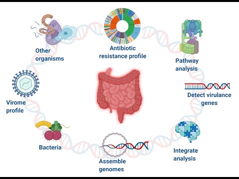 Video: Perbezaan Antara Microbiome Dan Microbiota