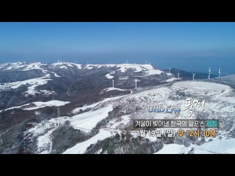 [예고]  UHD 다큐 풍경 : 겨울이 빚어낸 한국의 알프스...평창 / 연합뉴스TV (YonhapnewsTV)