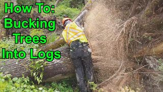 Bucking A Tree Into Logs Safely