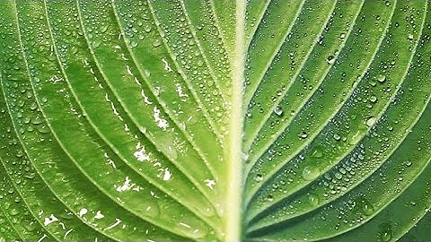 Making droplets stick