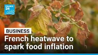 French heatwave threatens food inflation as agriculture sector suffers • FRANCE 24 English