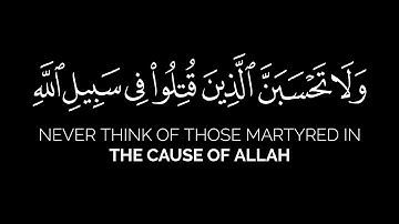 ولا تحسبن الذين قتلوا في سبيل الله أمواتا | عبدالمحسن الضباح شاشة سوداء كرومات قران سورة آل عمران