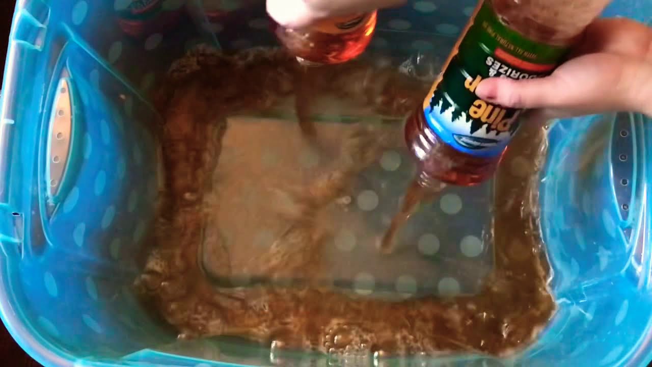 6 bottles of Powerhouse Pine🌲🌲🌲🌲🌲🌲