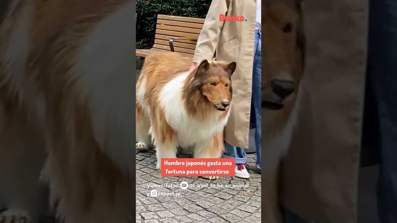Hombre japonés se convierte en perro y da su primer paseo en la calle