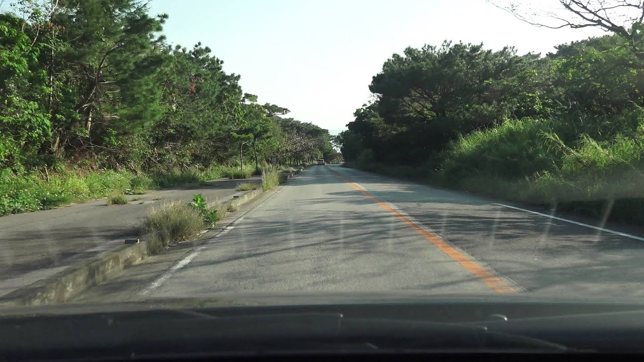 4K 沖縄県道79号石垣港伊原間線（西行き・内回り） ヤエヤマヤシ群落→川平湾付近→名蔵アンパル付近まで YouTube