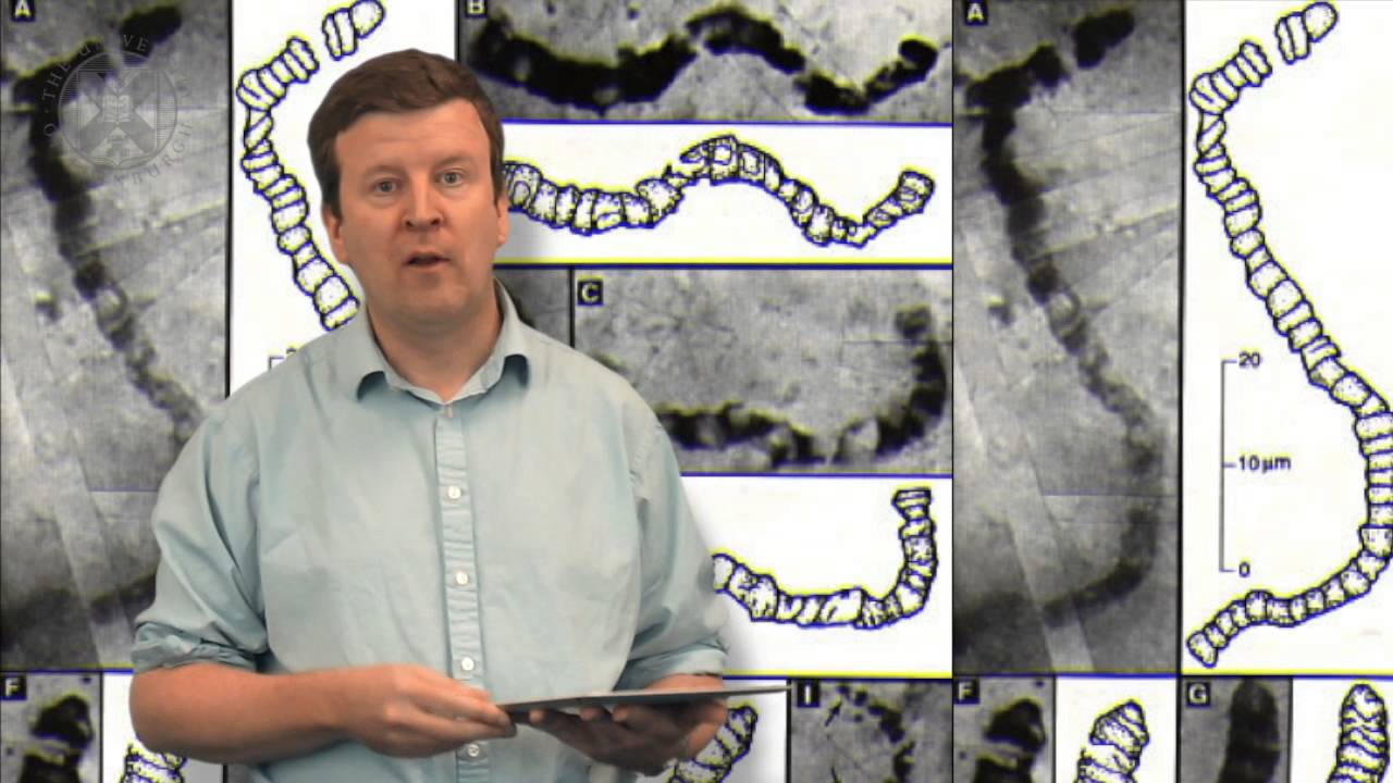1.2. ASTROBIO - History of Astrobiology free fonts