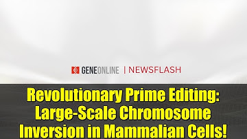 Revolutionary Prime Editing: Large-Scale Chromosome Inversion in Mammalian Cells!