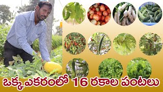 ఒక్క ఎకరంలో 16 రకాల కూరగాయల సాగు | 16 Types Vegetables in 1 Acre | Telugu RaithuBadi