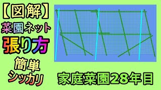 【図解 菜園ネットの張り方】簡単しっかり 家庭菜園28年目  無農薬 半自給自足