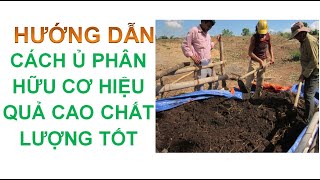 Hướng dẫn cách ủ phân hữu cơ hiệu quả cao chất lượng tốt | Kỹ thuật ủ phân hữu cơ tại nhà