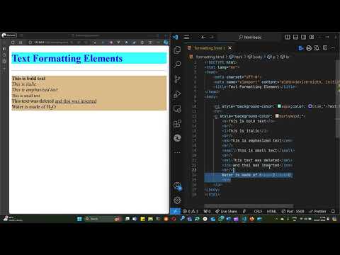 4 - HTML   Text Formatting Elements