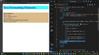 Celebrity 4 - HTML   Text Formatting Elements Wealth