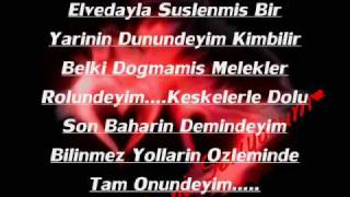 elvedayla suslenmis bir yarinin dunundeyim ( DEGISIK... ) Resimi