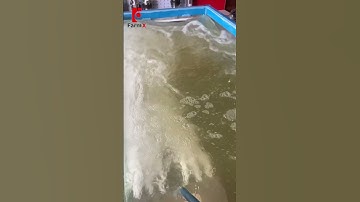 Sục khí đa tia - Kết hợp bơm chìm bổ sung thêm oxy hoà tan vào ao nuôi. Liên hệ 0899.199.700 #suckhi