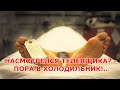 НАСМОТРЕЛСЯ ТЕЛЕЯЩИКА? – ПОРА В ХОЛОДИЛЬНИК!