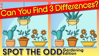 How good are your eyes ? Gardening | Game 58 | Find 3 Differences | brain break screenshot 1