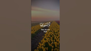 طارق محمد سورة النبأ اجمل حالات واتس اب دينية 🎧😌