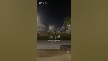 أفأنت تَهدى العُمى ولو كانوُا لاُ يبصرُون  #القرآن_الكريم#تلاوة_خاشعة #ارح_قلبك#لايك#المصحف #اكسبلور