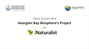 How to Join the GBB iNaturalist Project