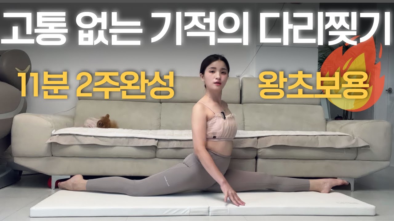 🔥고통없이 11분🔥2주만에 앞뒤 다리찢기 일자되는법 😚왕초보 가능