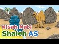 Kisah Nabi Shaleh AS Mukjizat Unta dari Dalam Batu - Kartun Anak Muslim