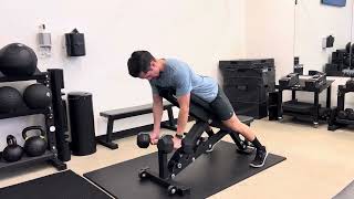 Db Chest Supported Row