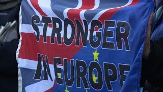EU citizens, British expats rally for Brexit rights