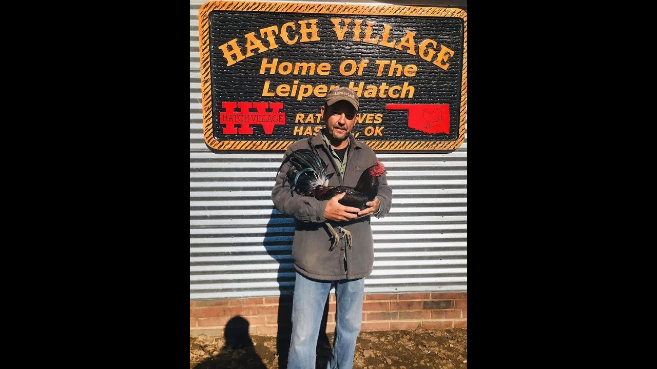 VIDEO NUEVO. HATCH VILLAGE.VÍDEO PROPIEDAD DE HATCH VILLAGE. REEDITADO