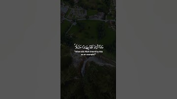 الشيخ ياسر الدوسري #تلاوة_خاشعة #ياسر_الدوسري