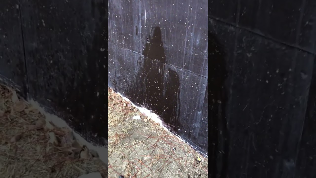 これは芸術か？立ち小便の跡のある壁Art ? of urinated wall