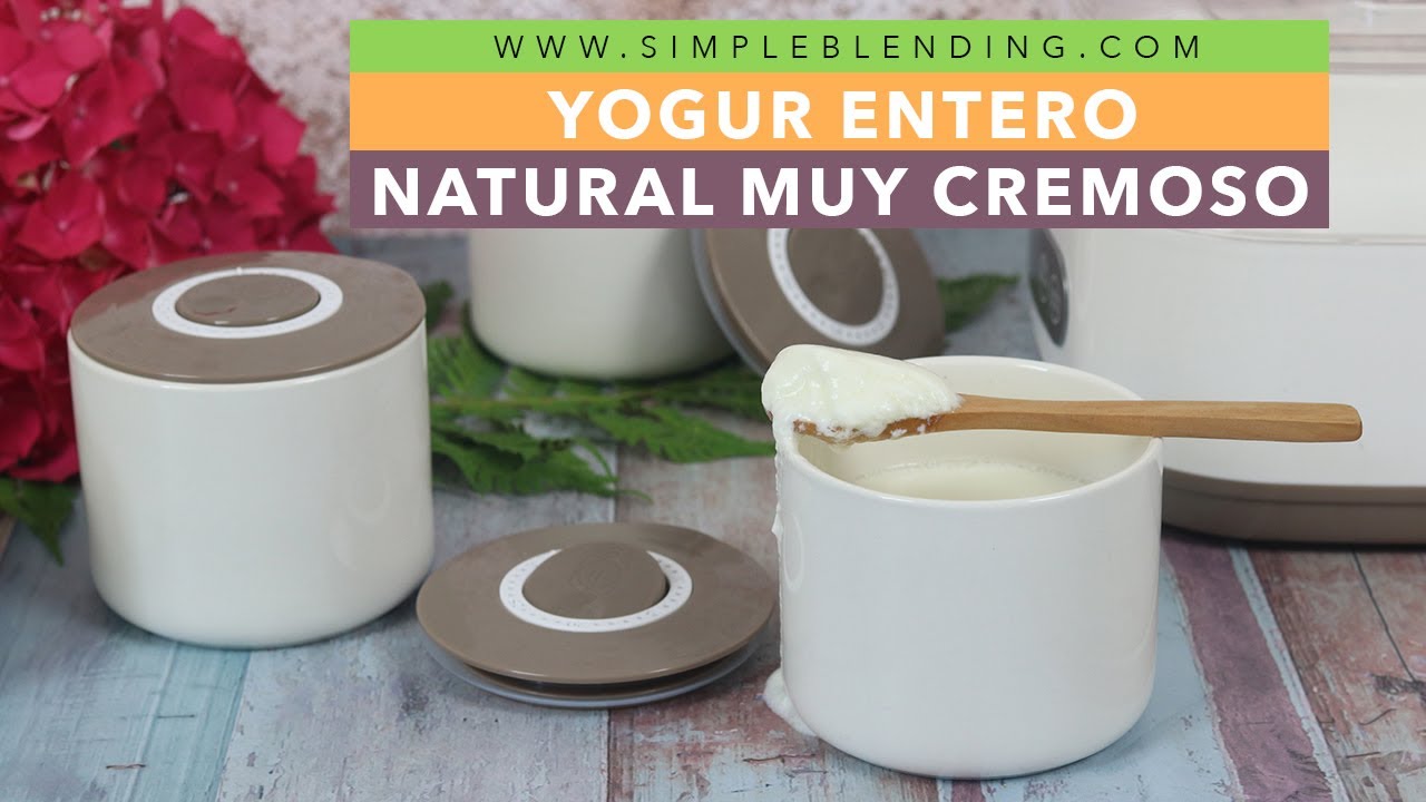 YOGUR ENTERO NATURAL MUY CREMOSO | El mejor yogur natural casero | Yogurtera Luvele