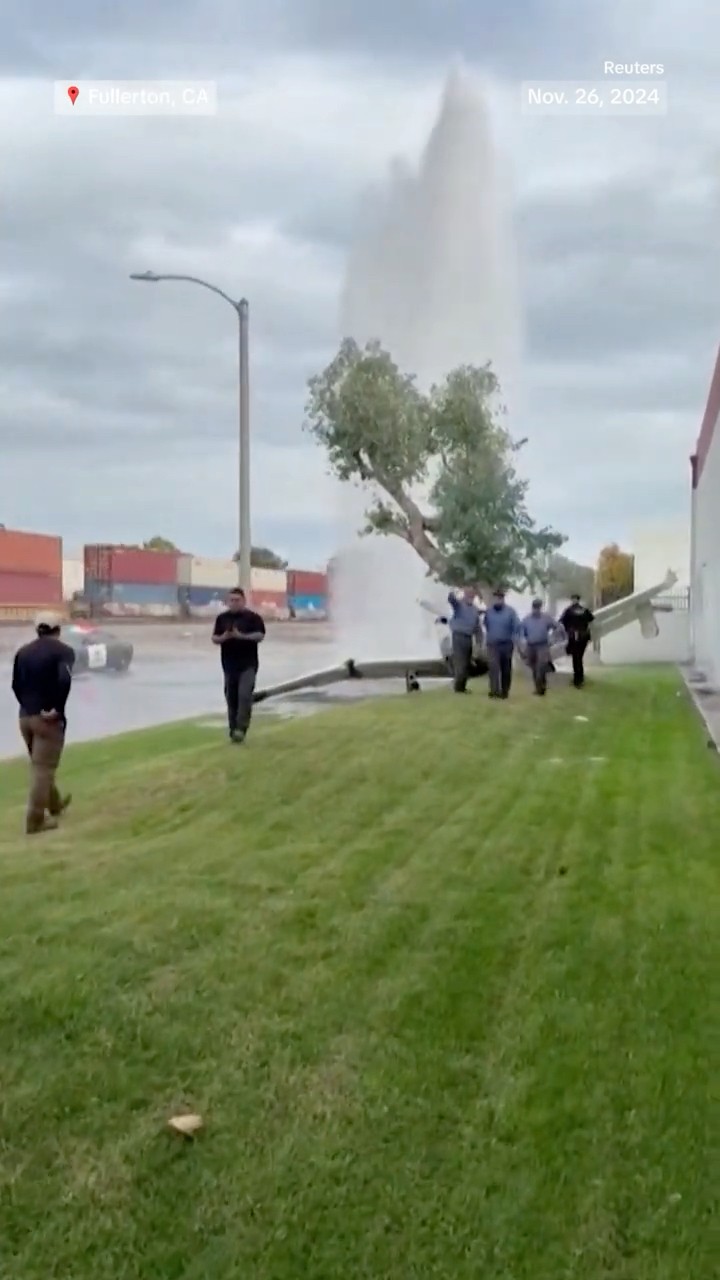 Video captures moment small plane crashes into tree, fire hydrant