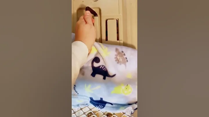 English Bulldog Puppies sleep together #shorts