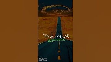 قران كريم #quran #اكسبلور #المصحف #duet #لايك #دويتو #nature