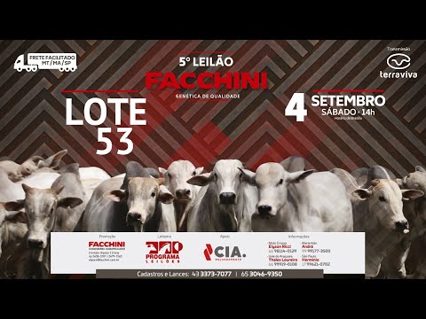LOTE 53 - 5º LEILÃO FACCHINI 04/09/2021