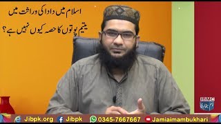 Kia Yateem Poto ka Dada Ki Wirasat me Hissa Hota Hy?? Hafiz Abo Yahya Noorpori