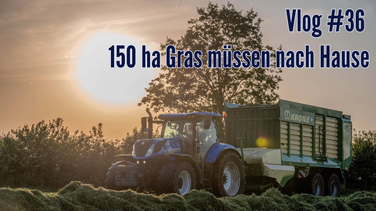 Farm-Vlog #36 150 ha Gras und 40 Ha Stroh müssen vor dem nächsten Regen geborgen werden